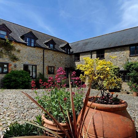 Rose Cottage Musbury Екстериор снимка