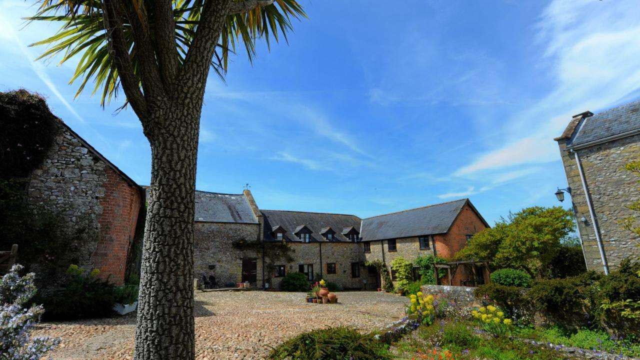 Rose Cottage Musbury Екстериор снимка